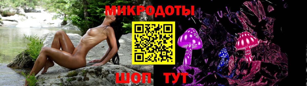 Северск  Псилоцибиновые грибы Psilocybe  Вход с VPN 